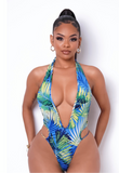 Tropics